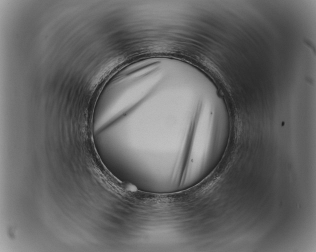 X0000101470930200807211333