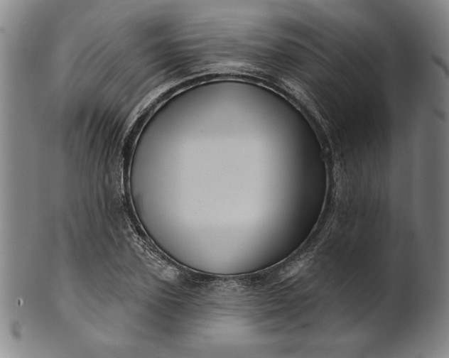 X0000101470931200807211333