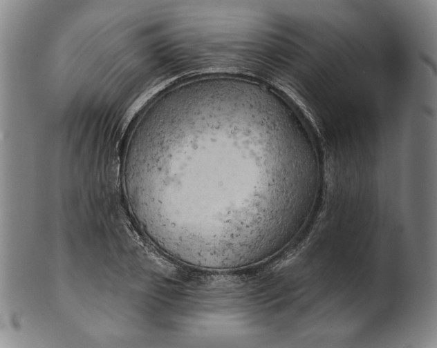 X0000101470933200807211333