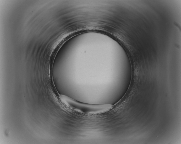 X0000101470934200807211333