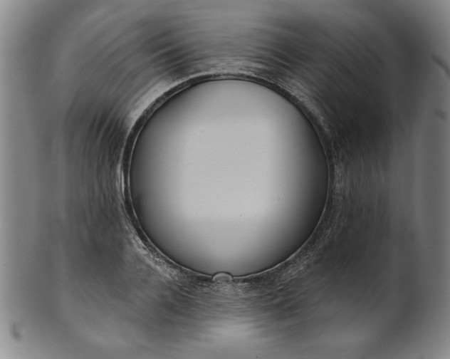 X0000101470936200807211333