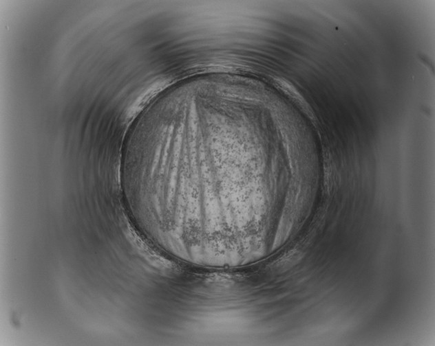 X0000101470938200807211333