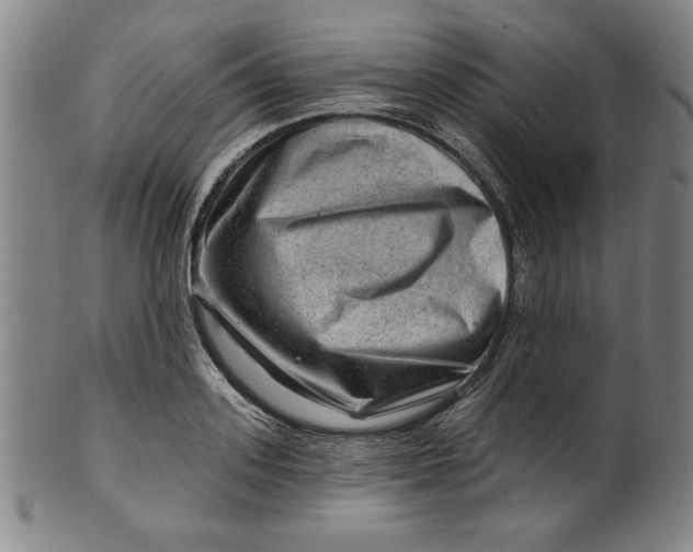 X0000101470939200807211333