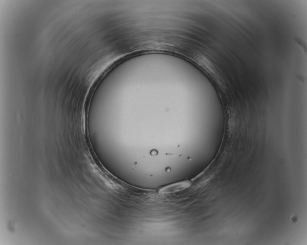 X0000101470940200807211333