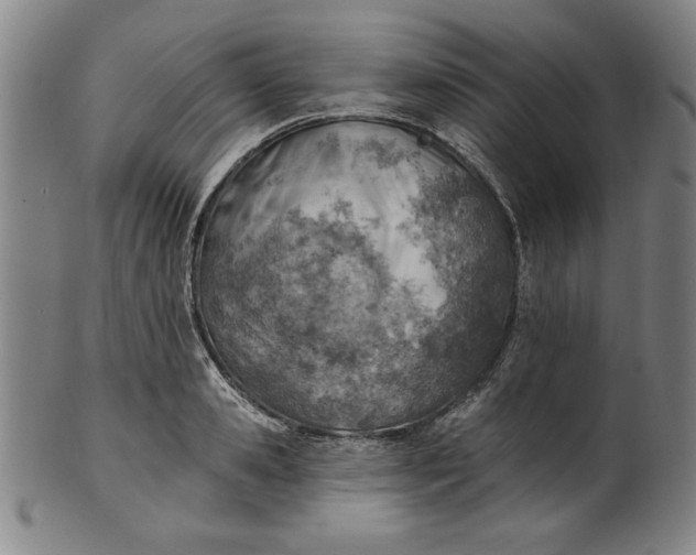 X0000101470941200807211333