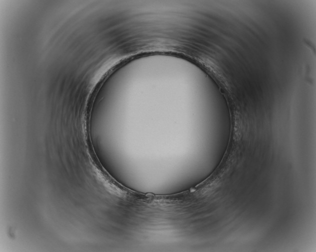 X0000101470942200807211333