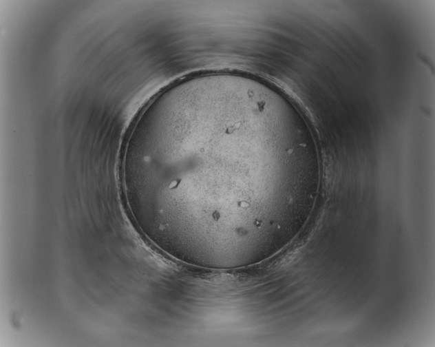 X0000101470943200807211333