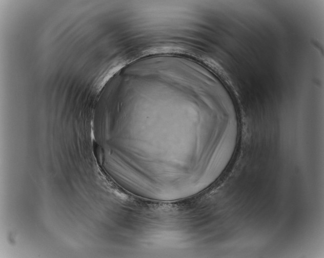 X0000101470945200807211333