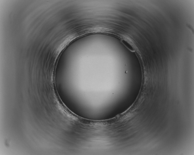 X0000101470946200807211333