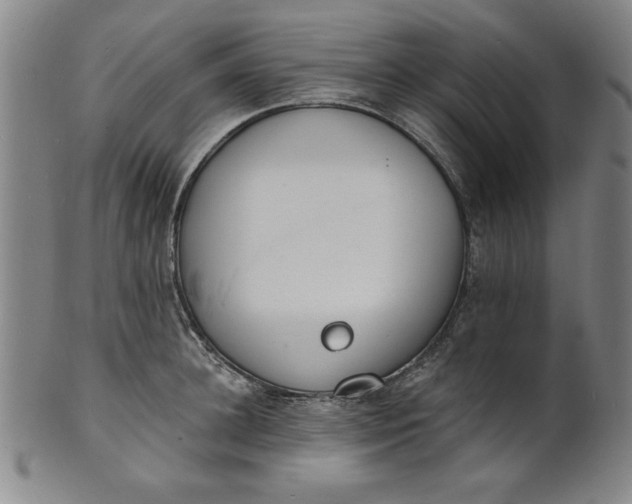 X0000101470948200807211333