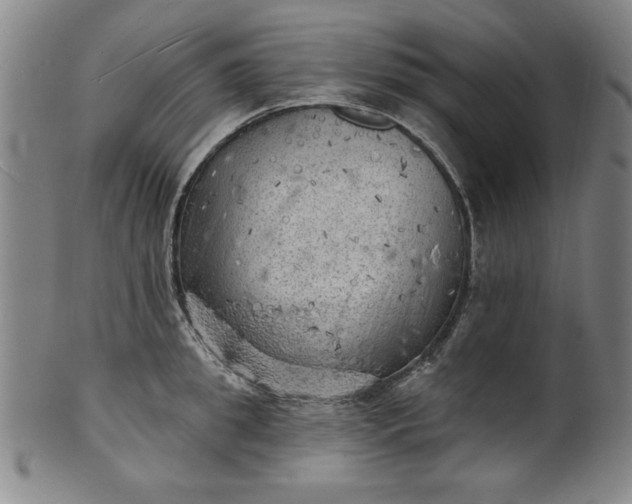 X0000101470949200807211334