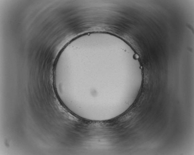 X0000101470950200807211334