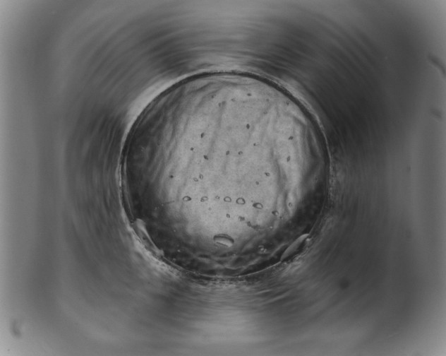 X0000101470951200807211334