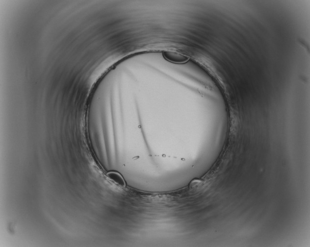 X0000101470952200807211334