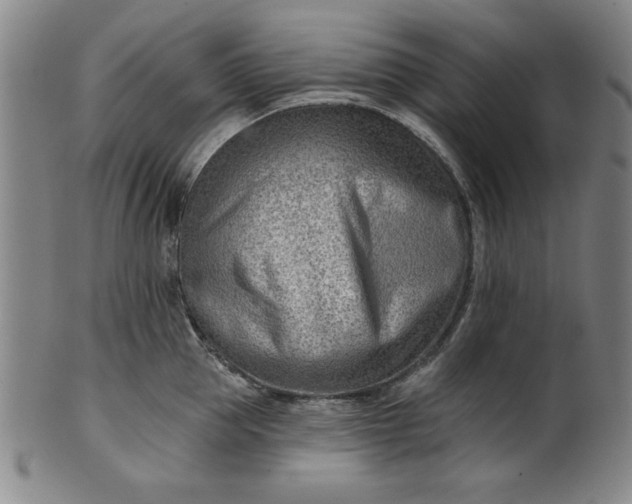 X0000101470953200807211334