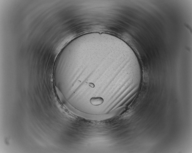 X0000101470954200807211334