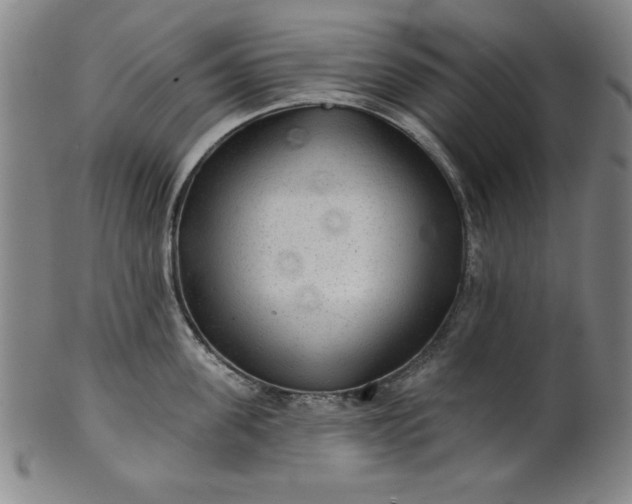 X0000101470955200807211334