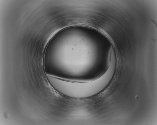 X0000101470956200807211334