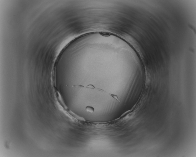 X0000101470958200807211334