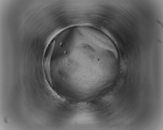 X0000101470959200807211334