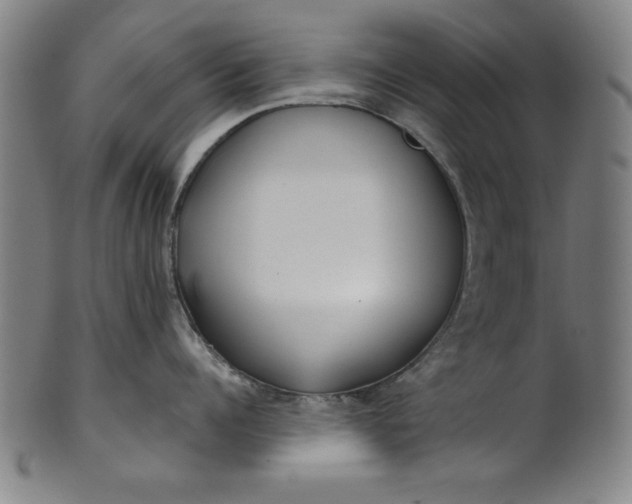 X0000101470960200807211334