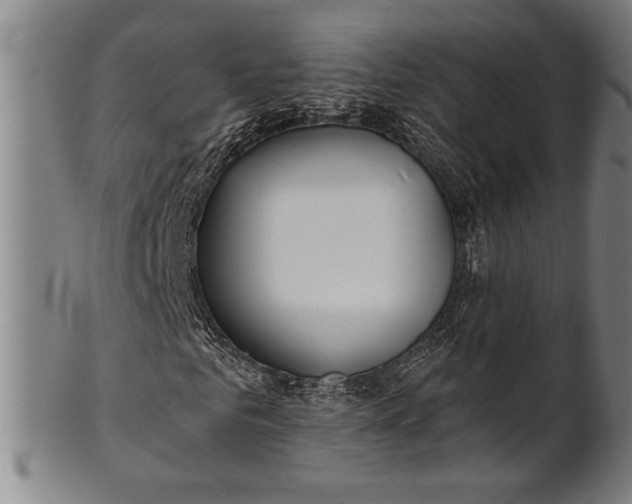 X0000101470961200807211333