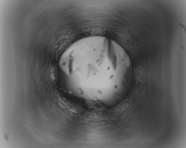 X0000101470962200807211333