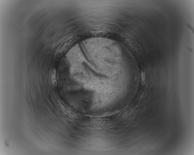 X0000101470963200807211333