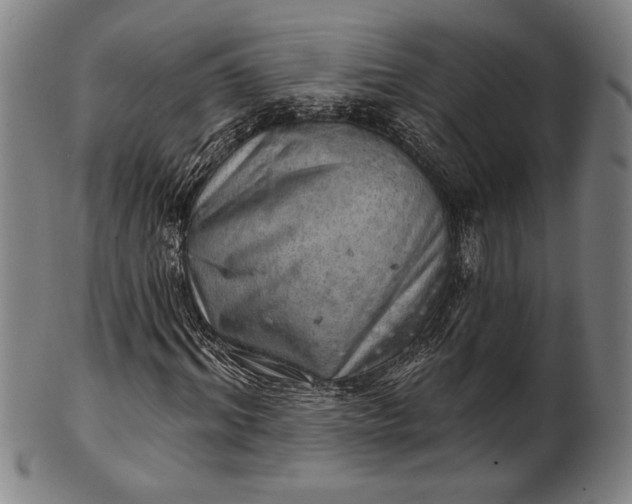 X0000101470964200807211333