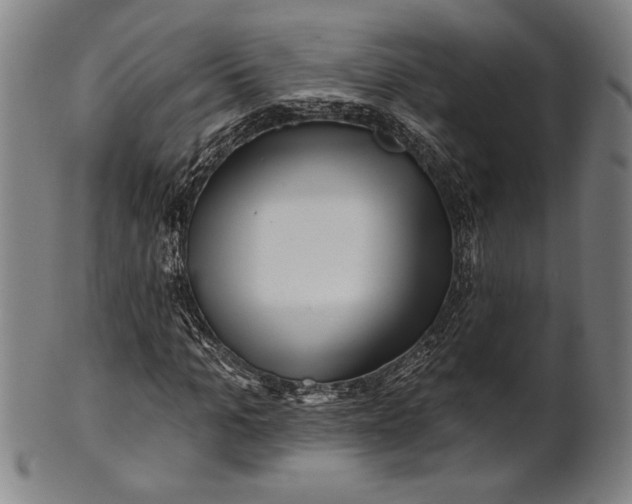 X0000101470965200807211333