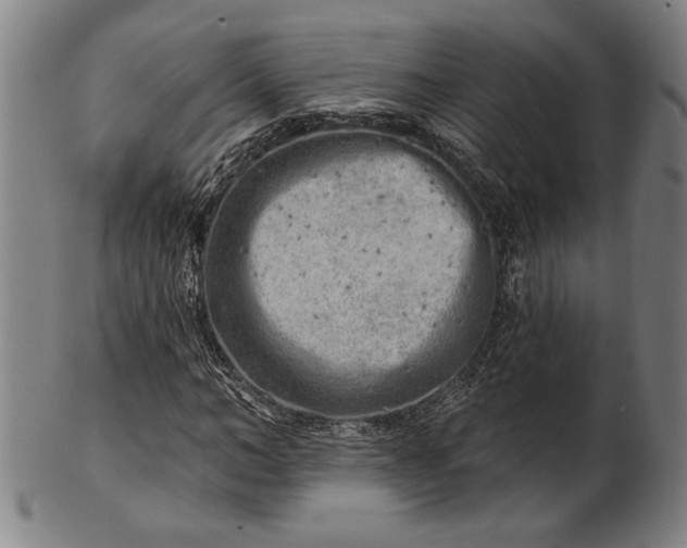 X0000101470966200807211333