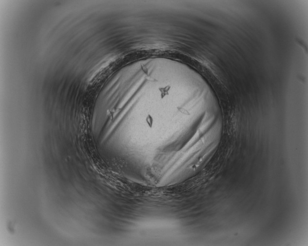 X0000101470967200807211333