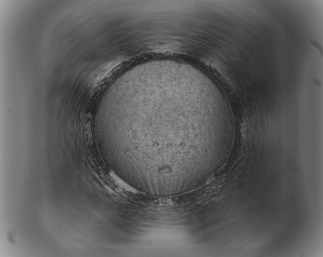 X0000101470968200807211333