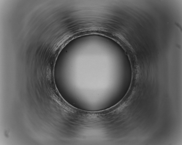 X0000101470969200807211333