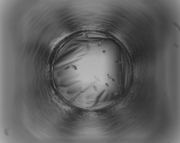 X0000101470971200807211333