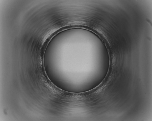 X0000101470973200807211333