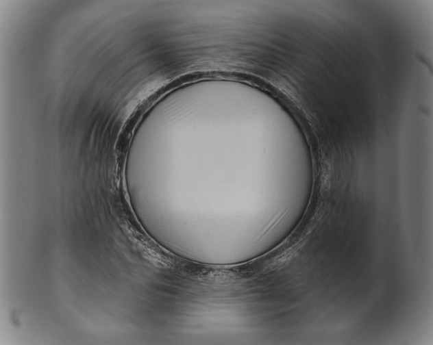 X0000101470974200807211333