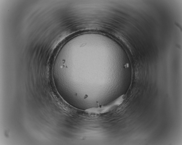 X0000101470975200807211333