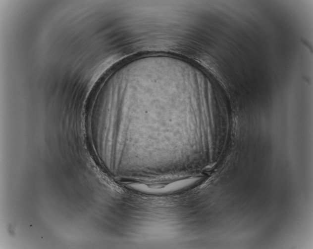 X0000101470976200807211333