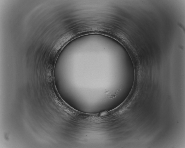 X0000101470977200807211333