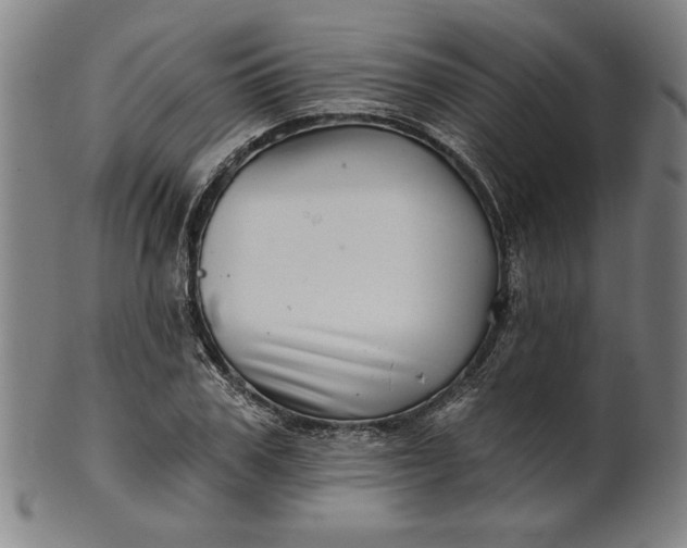 X0000101470979200807211333