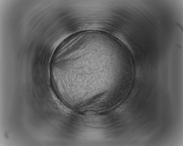 X0000101470980200807211333