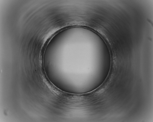 X0000101470981200807211333