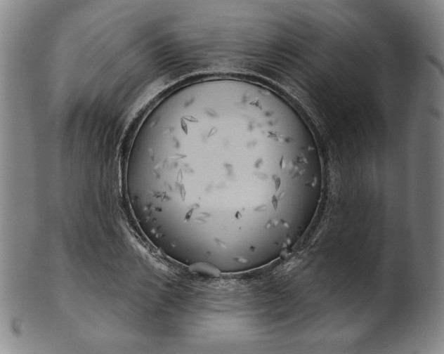 X0000101470982200807211333