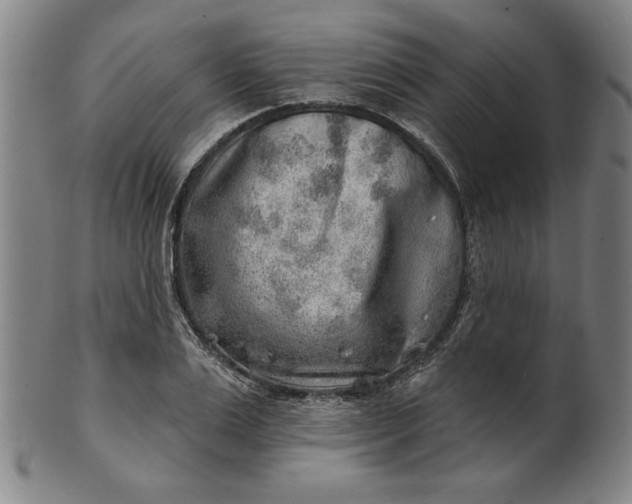 X0000101470983200807211333