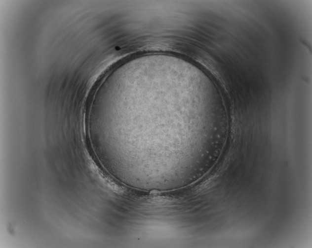 X0000101470984200807211333