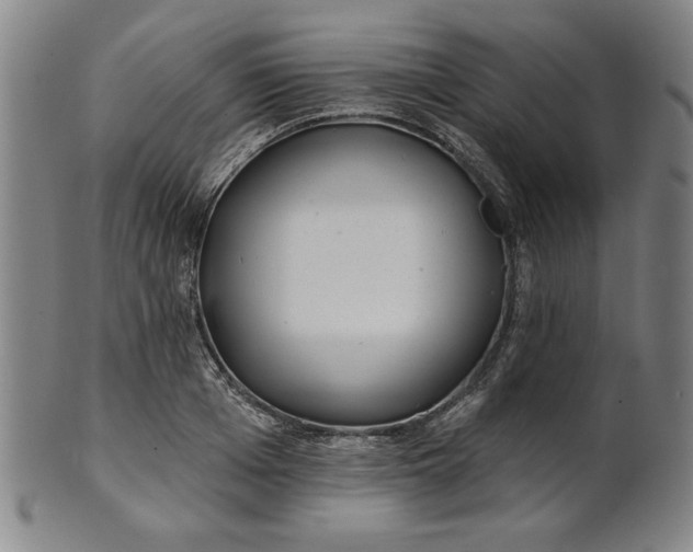 X0000101470985200807211333