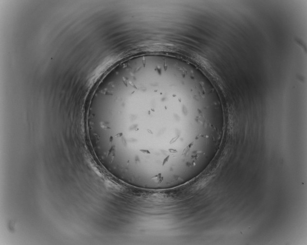 X0000101470986200807211333