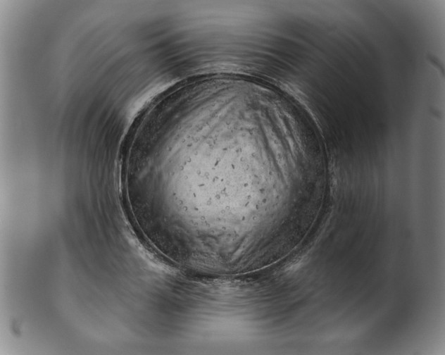 X0000101470987200807211333