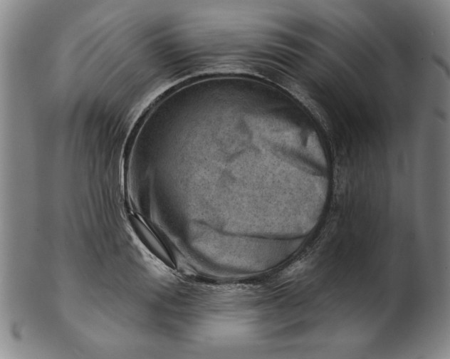 X0000101470988200807211333